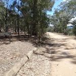 Road around Willis Camping Area
