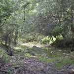 The dry river bed of the Jenolan River