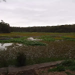 view of the lagoon from henry lawson drive