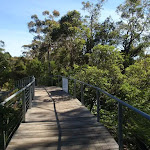 following the wooden footbridge