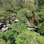 View from Cliff Side Lookout