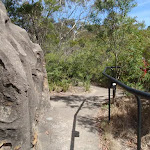 Track passing 'cave' at Reids Plateau Picnic area