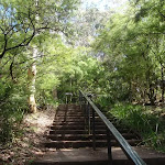 Stairs along Round walk track