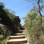 Prince henry Cliff walk track between Allambie and Lady Darley lookouts