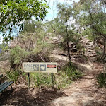 The track to Burrabarroo Lookout