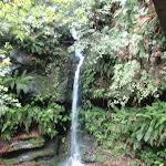 Lila Falls