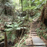 Stairs down from Fern Bower