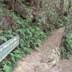 Following the Prince Henry Cliff Walk signs