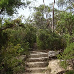 bottom of Lady Darley Lookout track