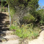 Steps above Olympian Lookout