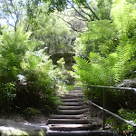 Stairs on Round Walk track