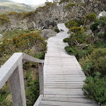 Board walk from Charlotte Pass Lookout