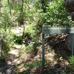The intersection of the track heading down to Burrawang Flats