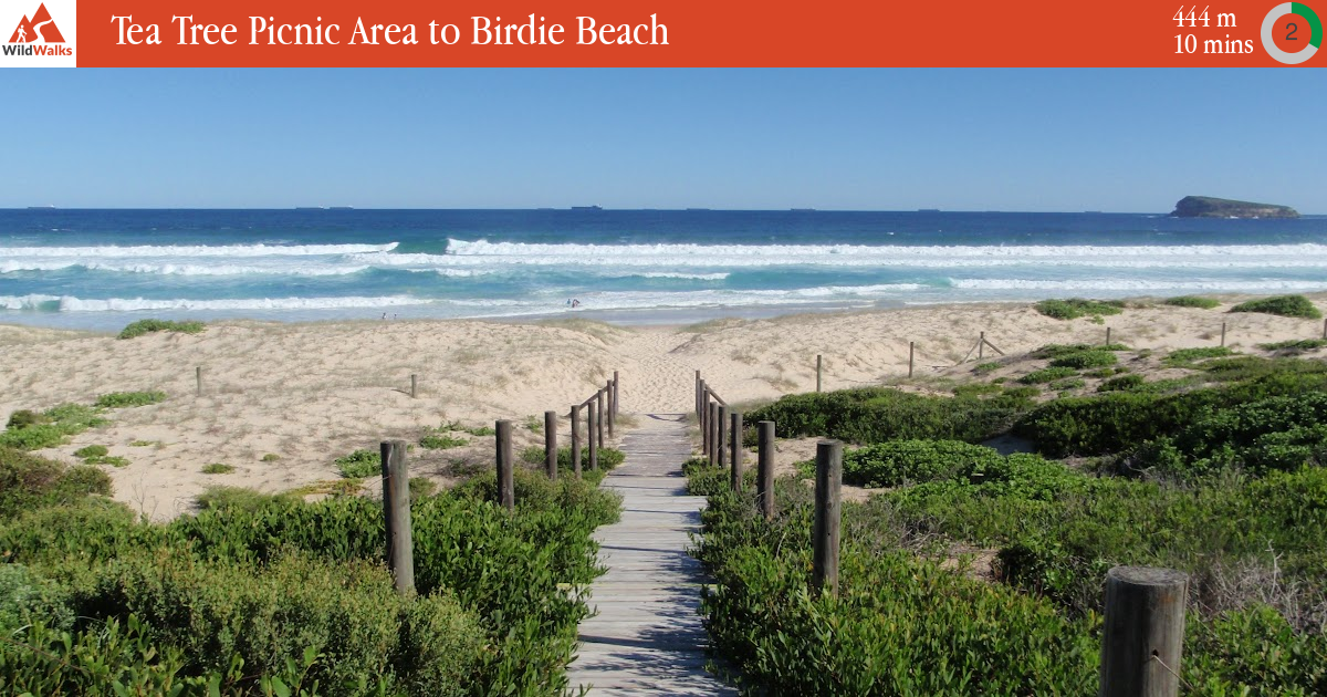 Tea Tree Picnic Area to Birdie Beach walking track