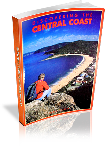 Cover of Discovering the Central Coast