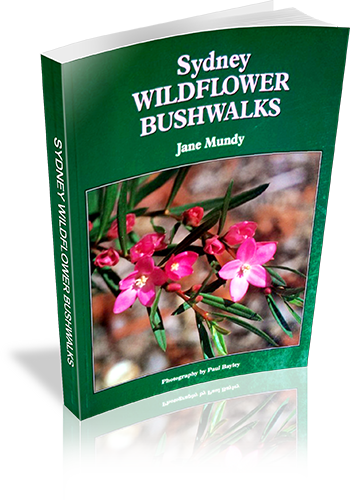 Cover of Sydney Wildflower Bushwalks