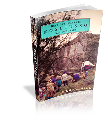Cover of Best Bushwalks In Kosciusko National Park