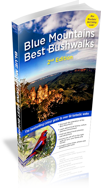 Cover of Blue Mountains Best Bushwalks