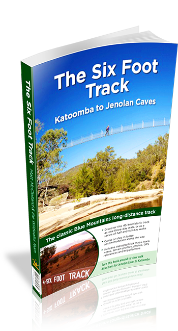 Cover of The Six Foot Track