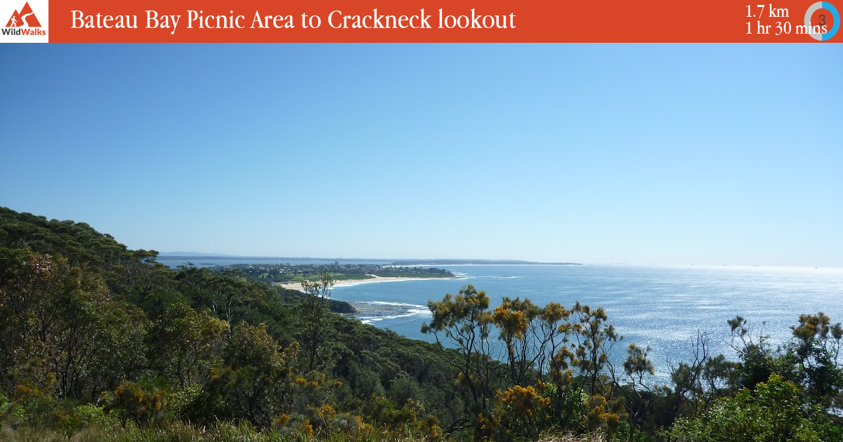 Bateau Bay Picnic Area to Crackneck lookout walking track